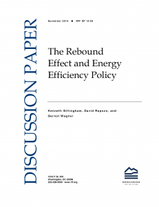 The Rebound Effect and Energy Efficiency Policy