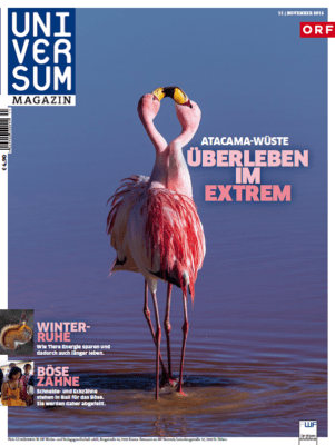 Universum Magazin November 2015